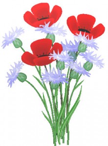 poppies