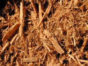 CypressMulch