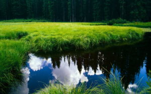 Clouds Reflecting In Water