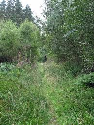 overgrownpath